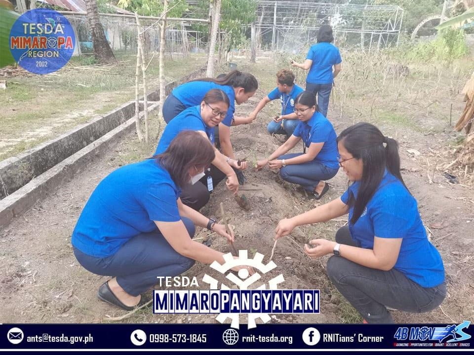 RNIT faculty transplanting tomato and pechay seedlings